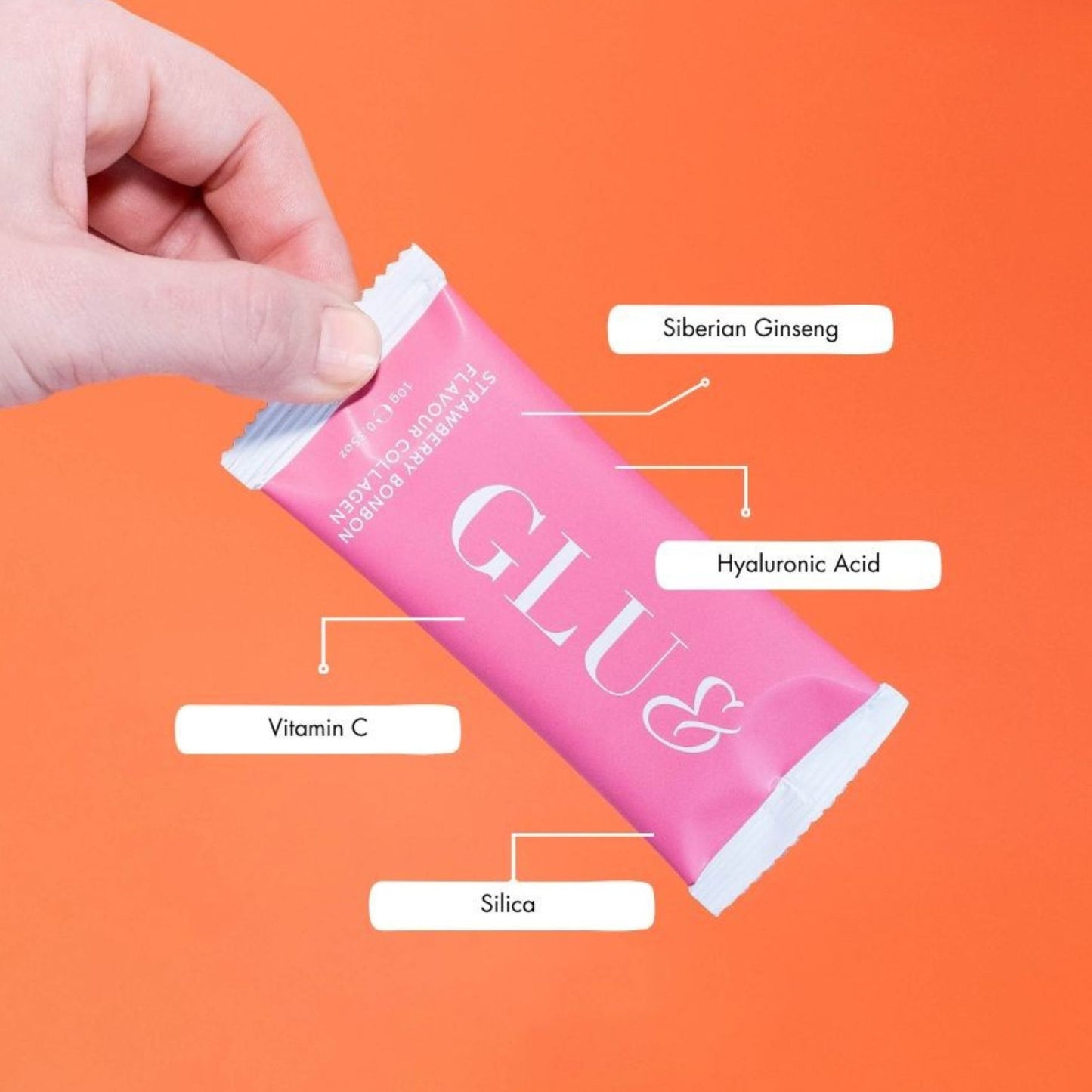 Marine and Bovine Collagen